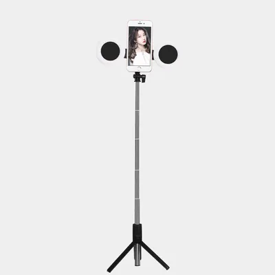 J861Double lamp black