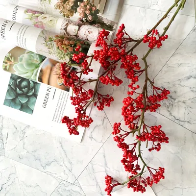 Christmas simulates plant fruit