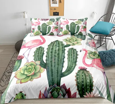 Green cactus