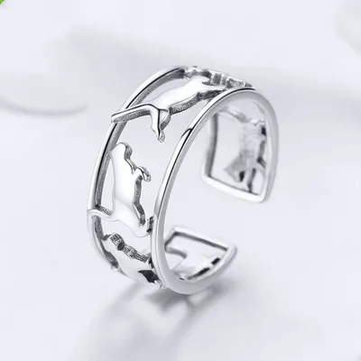 Cat opens lovers ring