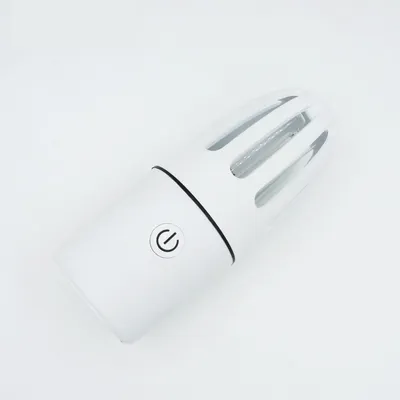 Car UV germicidal lamp
