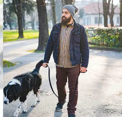 Pet Double Handle Pull Leash