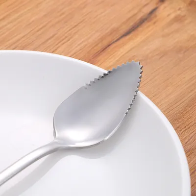 Baby Scraper Stainless Steel With Serrated