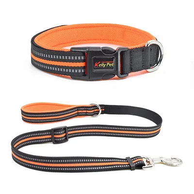 Breathable Mesh Nylon Dog Collar