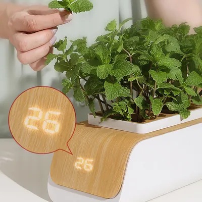 Hydroponic Container Flower Pot Garden Patio ABS It Is Not Easy To Deform Ventilation Storage Container Vegetable Spring