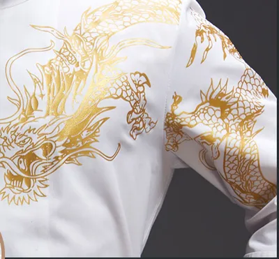 High-grade Chef Work Clothes Men's Dragon Robe Fashion