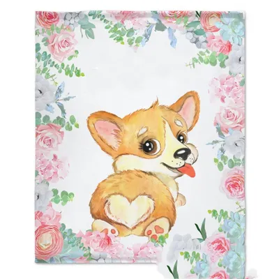 Baby Photo Backdrop Blanket