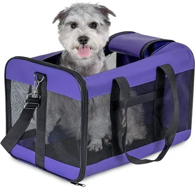 Dog Cat Carriers Bags Car Portable Transport Pet Bag Cage Portable Pet Foldable Outgoing Travel