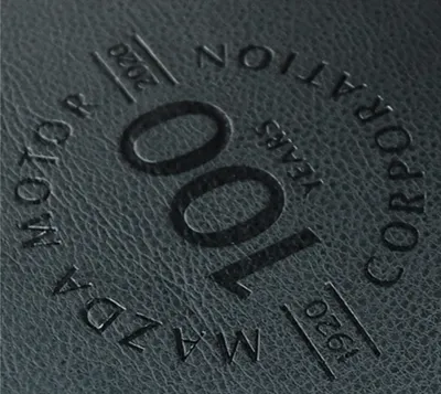 Modification Of Armrest Case Cover For 100th Anniversary