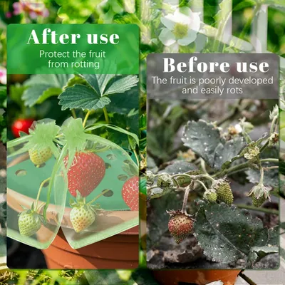 8Pcs Strawberry Plant Support With Bags