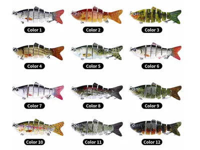 Bait fish