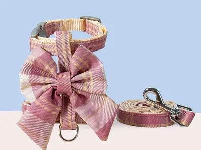 Dog Skirt Hand Holding Rope Small And Medium Pet Supplies
