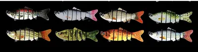 Bait fish