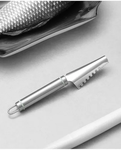 Stainless Steel Scaler For Household Use