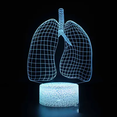LED Night Light Gift Table Lamp Visual Light