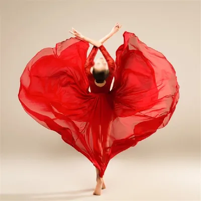 Classical Dance Costume Female Elegant Performance Costume Half-length Skirt