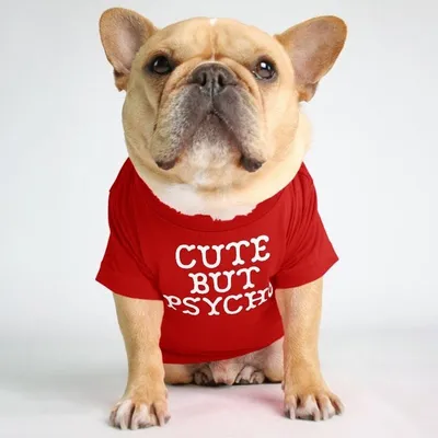 Fadou Turtleneck Round Neck T-shirt Pet Clothes