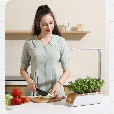 Hydroponic Container Flower Pot Garden Patio ABS It Is Not Easy To Deform Ventilation Storage Container Vegetable Spring