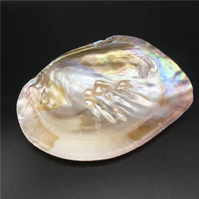 Freshwater Pearls Mussel Shells And Polished Raw Materials For Jewelry Crafts