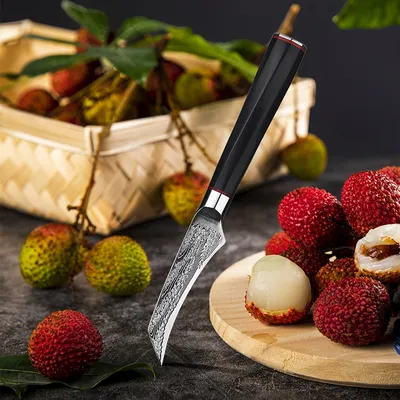 Japanese Damascus Steel Kitchen Knife Household Kitchen Fruit Knife