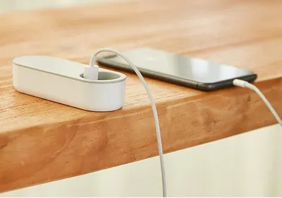 Wireless Portable Steam Iron