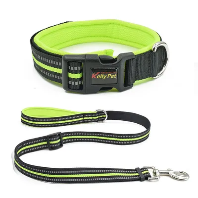 Breathable Mesh Nylon Dog Collar