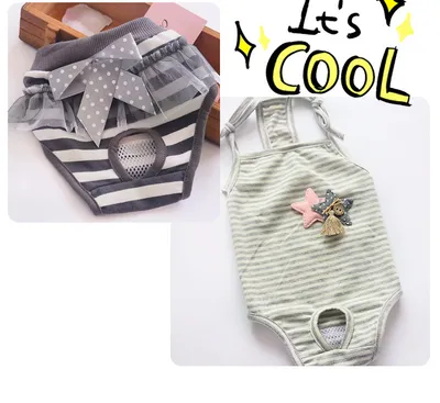 Female Dog Aunt Physiological Pants Panties
