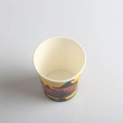 Party Supplies Disposable Paper Tableware