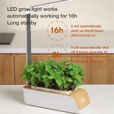 Hydroponic Container Flower Pot Garden Patio ABS It Is Not Easy To Deform Ventilation Storage Container Vegetable Spring