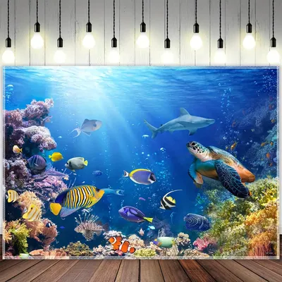 خلفية واحدة مقاس 10×8 قدم بتصميم نابض بالحياة لمشهد تحت الماء. مصنوعة من البوليستر المتين، وهي ديكور مستوحى من المحيط، ومناسبة لجلسات التصوير في الحفلات والمناسبات.