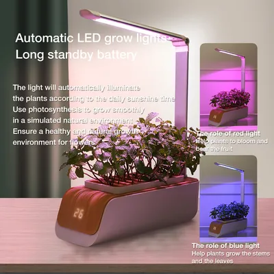 Hydroponic Container Flower Pot Garden Patio ABS It Is Not Easy To Deform Ventilation Storage Container Vegetable Spring