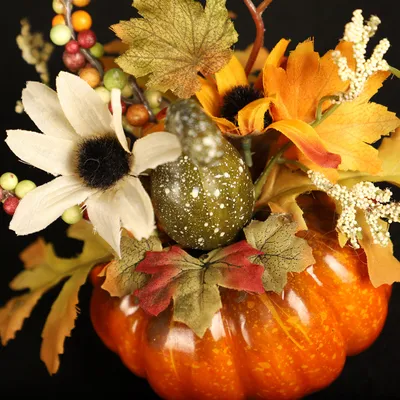 Pumpkin decoration and maple leaf props