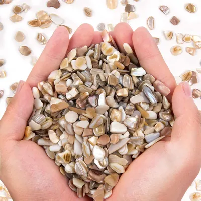 Small Natural Crushed Shells For Crafts About 2LB 900g 31.74oz DIY Beaching Wedding Decoration Vase Fillers