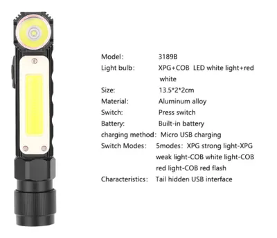 Car inspection light