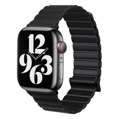 Magnetic Absorption Two-color Watch Band