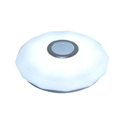 Home Fashion Bluetooth Music Ceiling Led Light