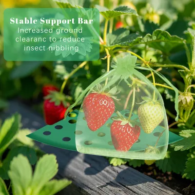 8Pcs Strawberry Plant Support With Bags