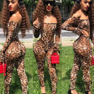 Fashion  Mesh Leopard Print Bodysuit Ladies Two Piece Set