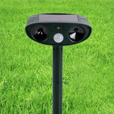 Outdoor animal remover