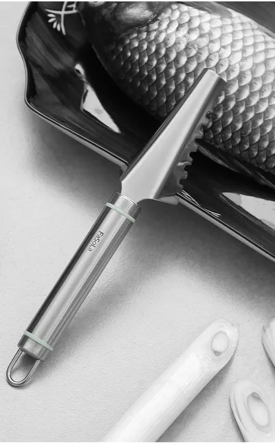 Stainless Steel Scaler For Household Use