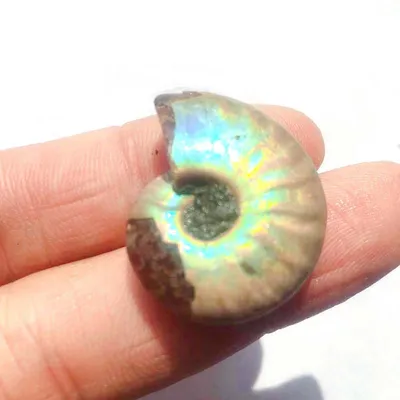 Colorful Snail Pendant Pendants Home Decoration Ornaments