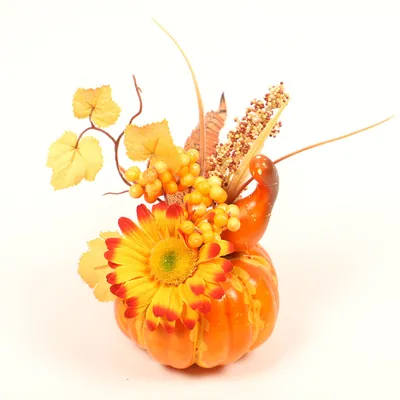 Pumpkin decoration and maple leaf props