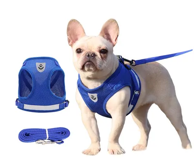 Pet Leash Breathable Mesh Chest Back