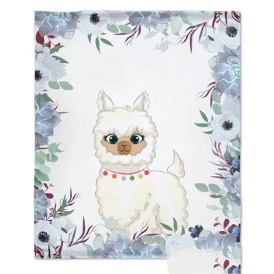 Baby Photo Backdrop Blanket