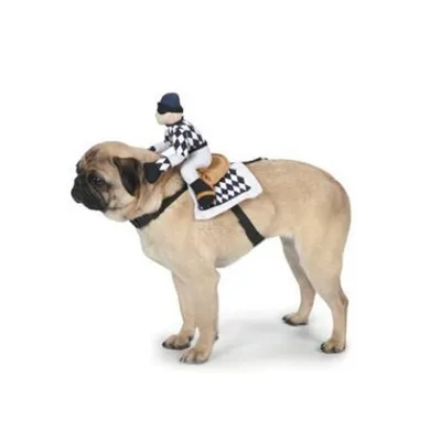 Cartoon Pet Cowboy Horseback Riding Costume Pet Supplies