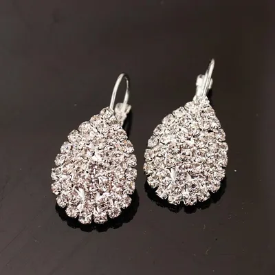 Fashion Exquisite Jewelry Popular Hot Sale Expedition Burst Models Diamond Claw Chain Earrings Female