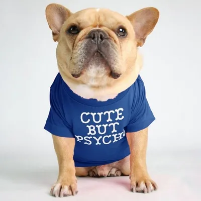 Fadou Turtleneck Round Neck T-shirt Pet Clothes