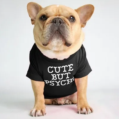Fadou Turtleneck Round Neck T-shirt Pet Clothes