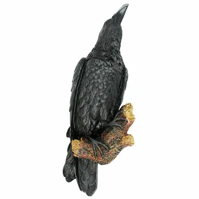 Black Crow Resin Sculpture Craft Wall Hanging
