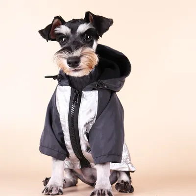 Dog Poker Jacket Reflective Raincoat Pet Cotton